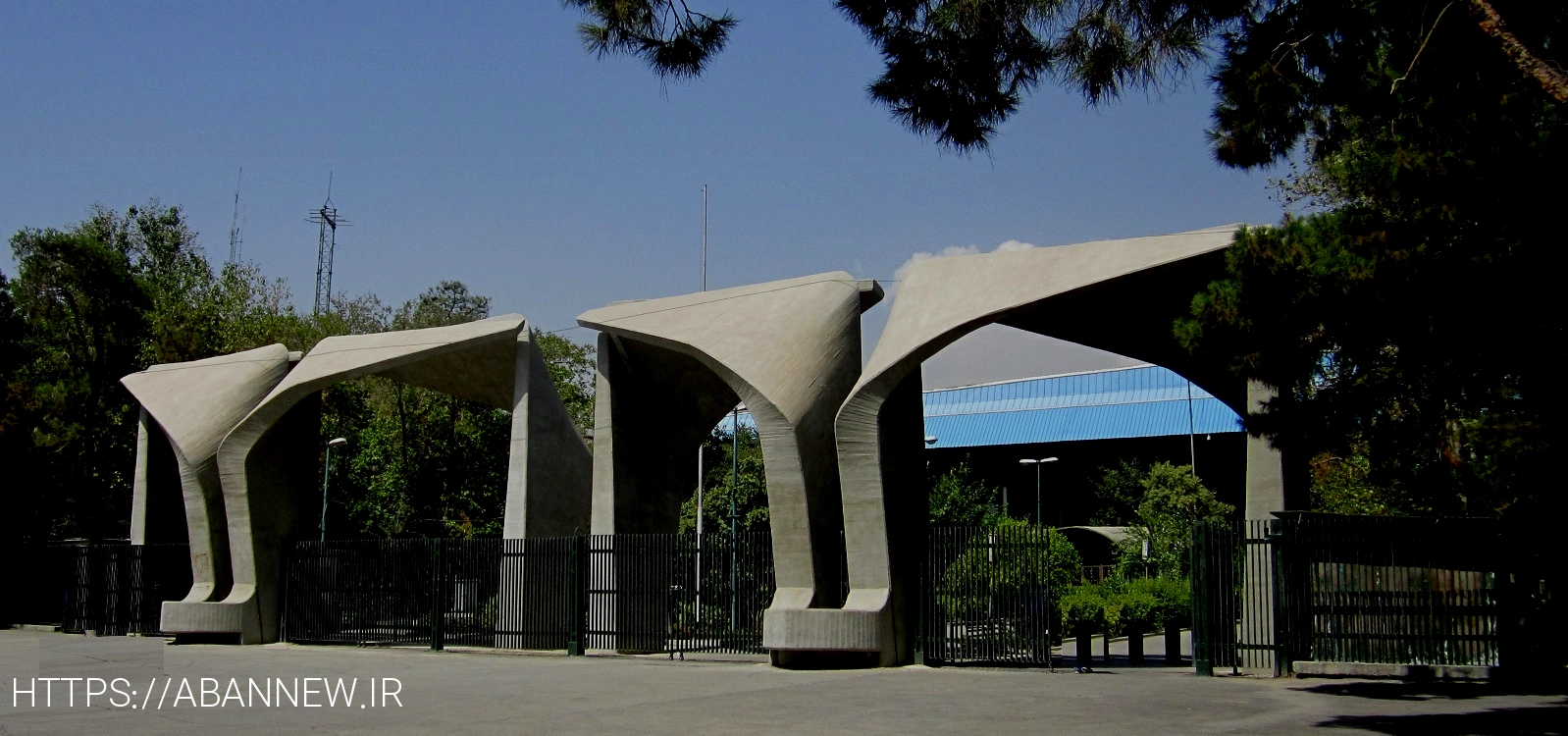 دانشگاه